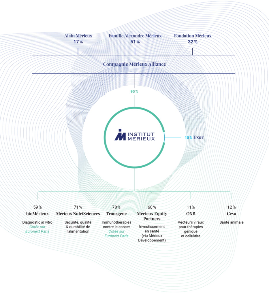 IM ORGANIGRAMME-VF – transp