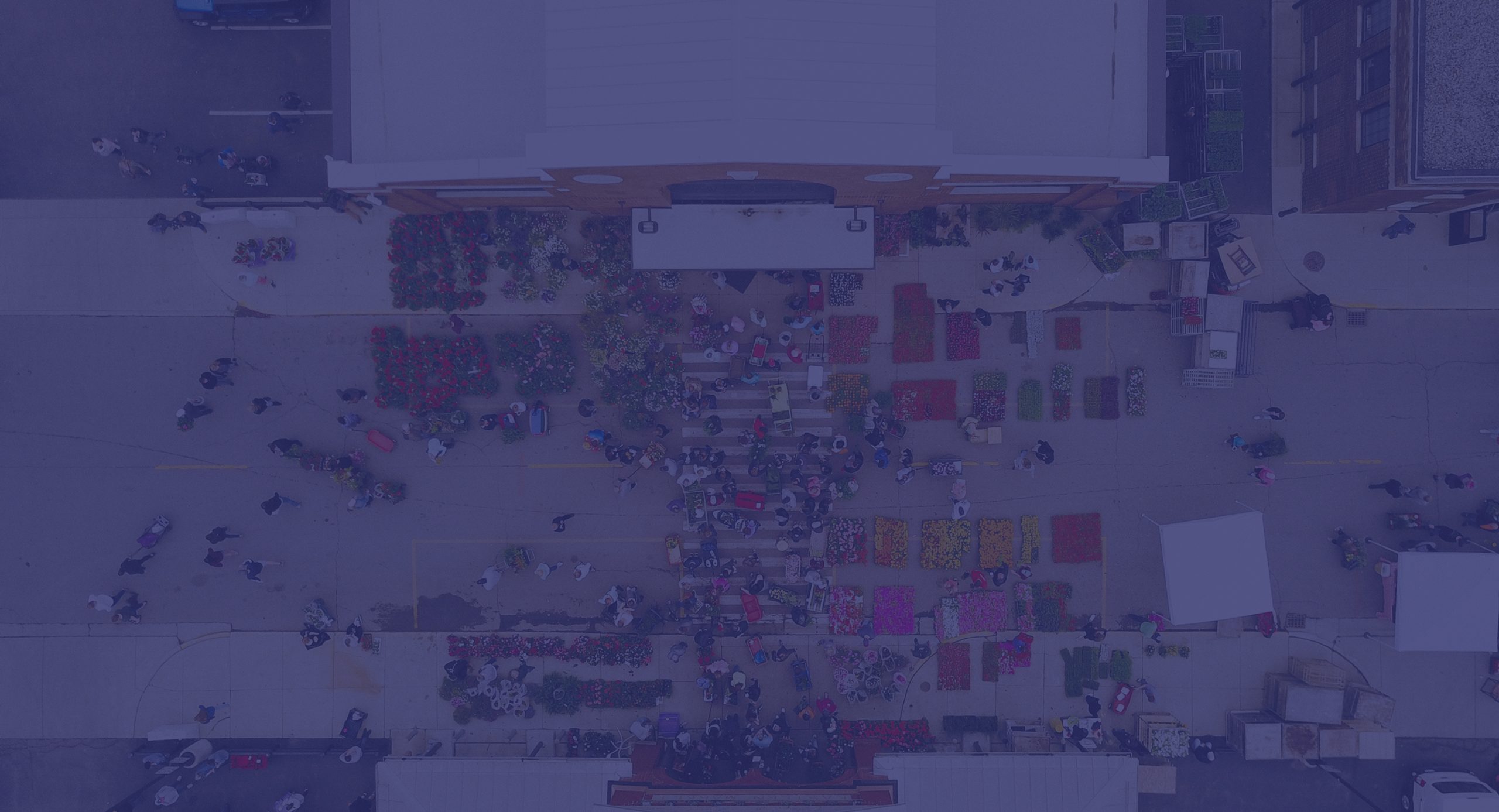 Site Institut Mérieux