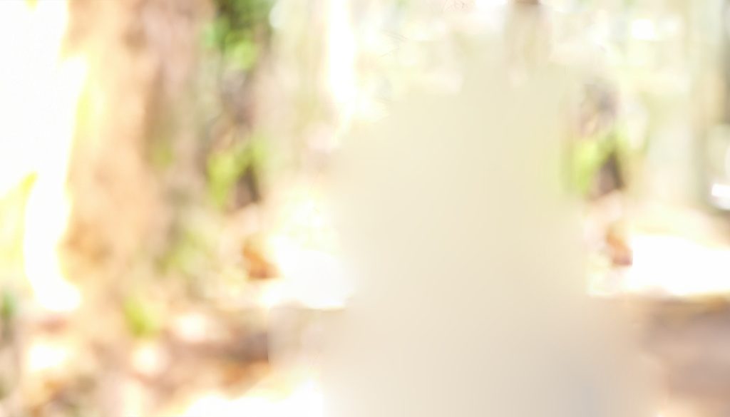 Institut Mérieux - Vue de laboratoire