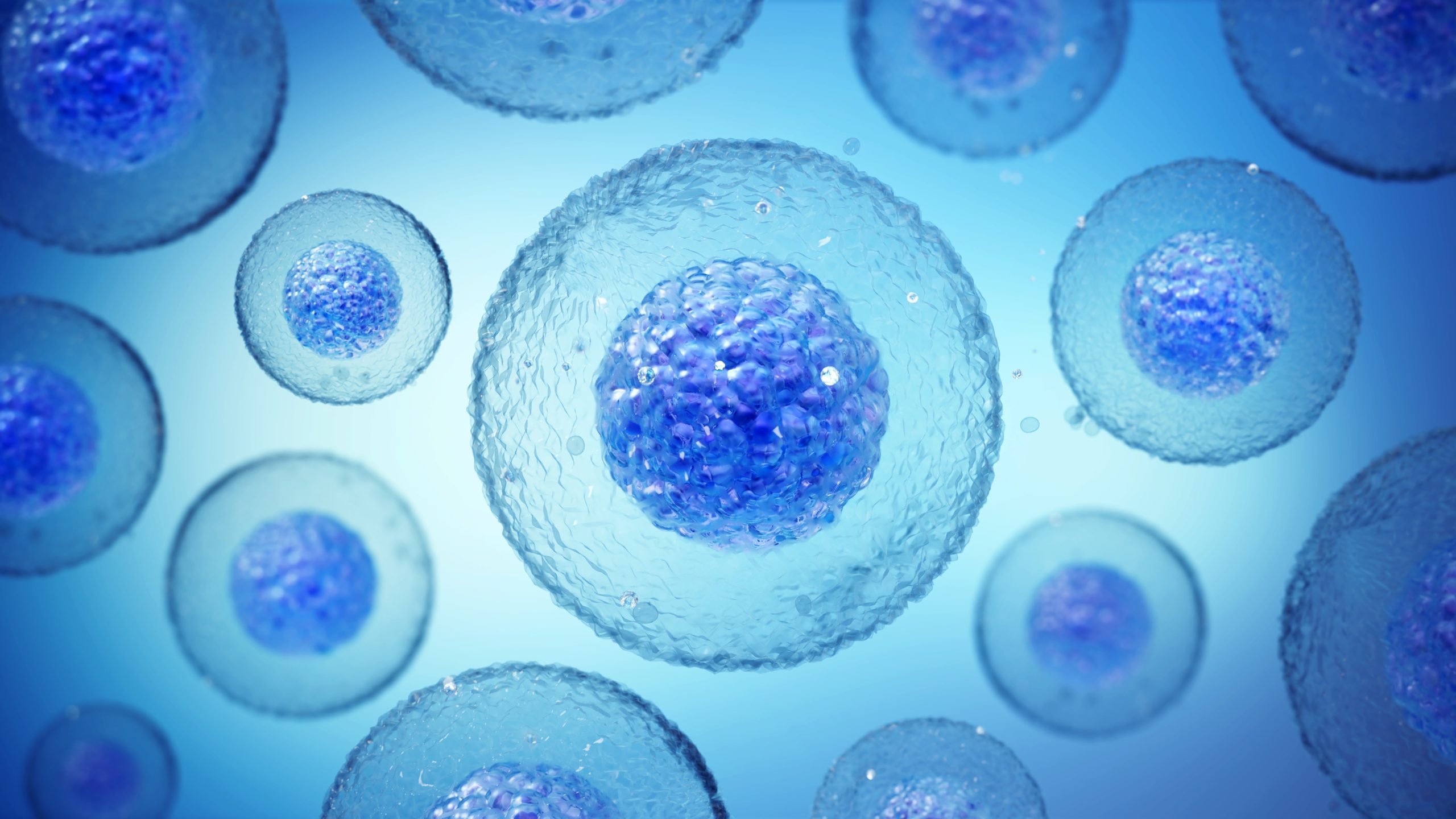 Les societes du groupe Institut Merieux