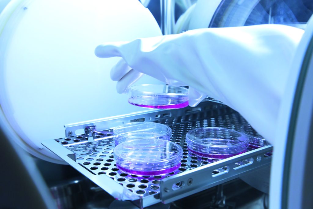 Cession activité vaccins 1994